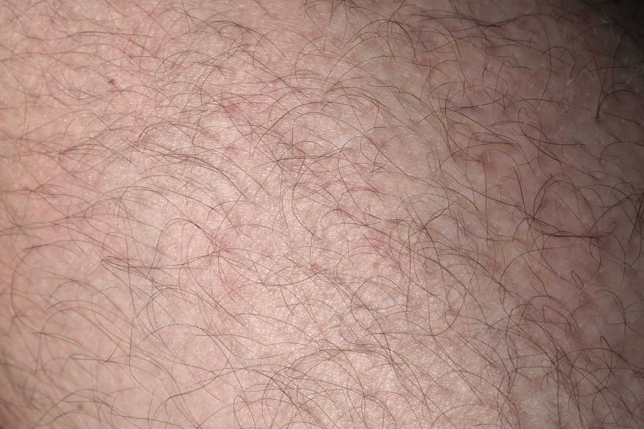 skin hair leg free photo