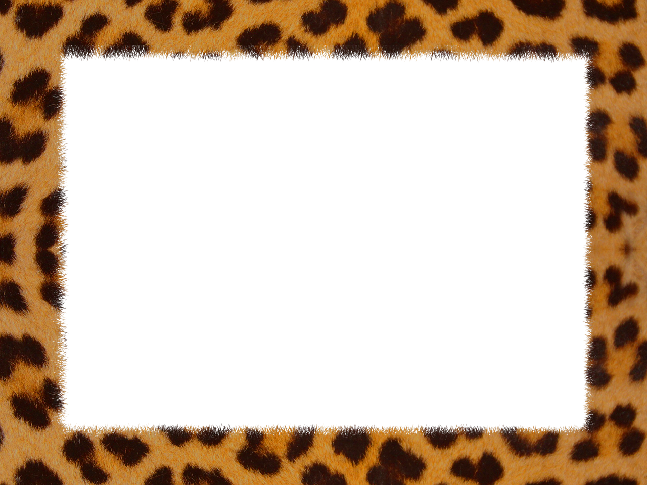 skin leopard texture geometric free photo