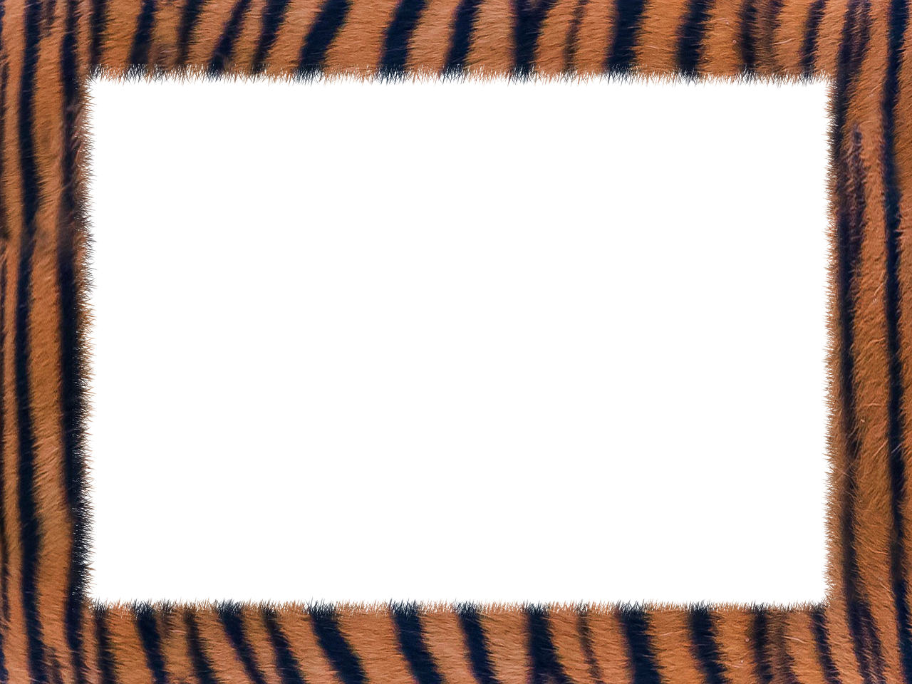 skin tiger texture geometry free photo