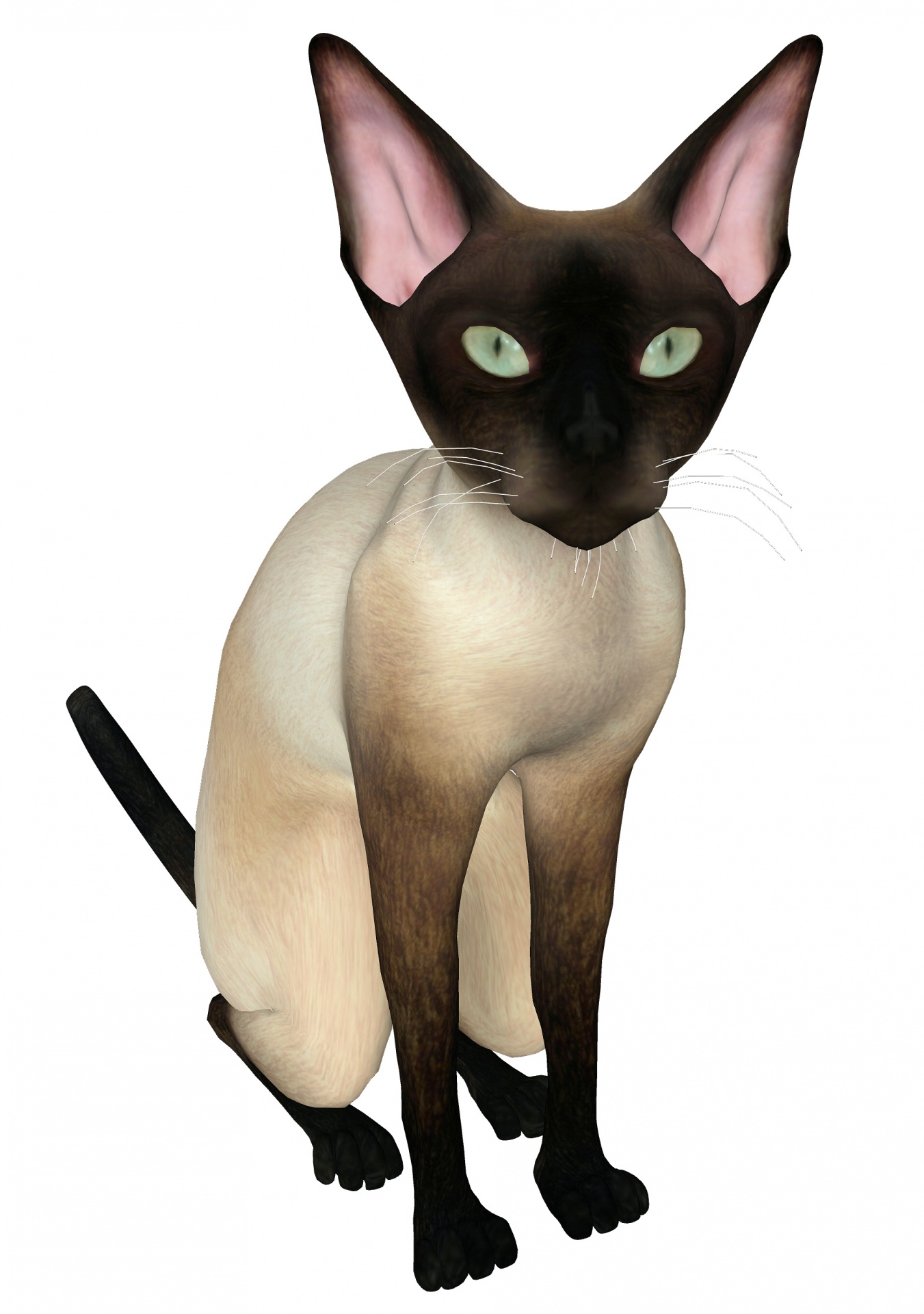 Drawing Skinny Cat 3d Isolated Free Image From Needpix Com