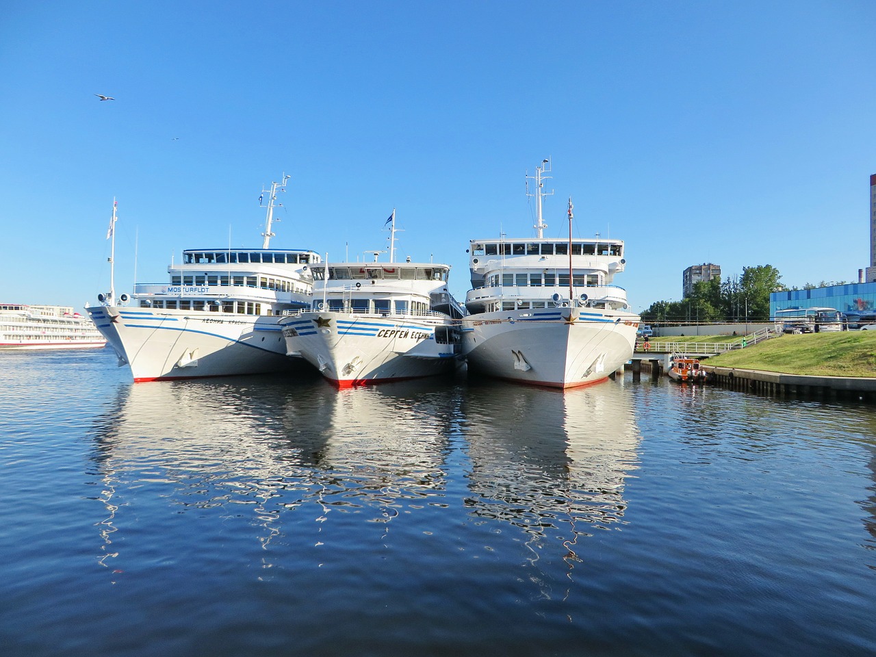 skippers cruise ships free photo