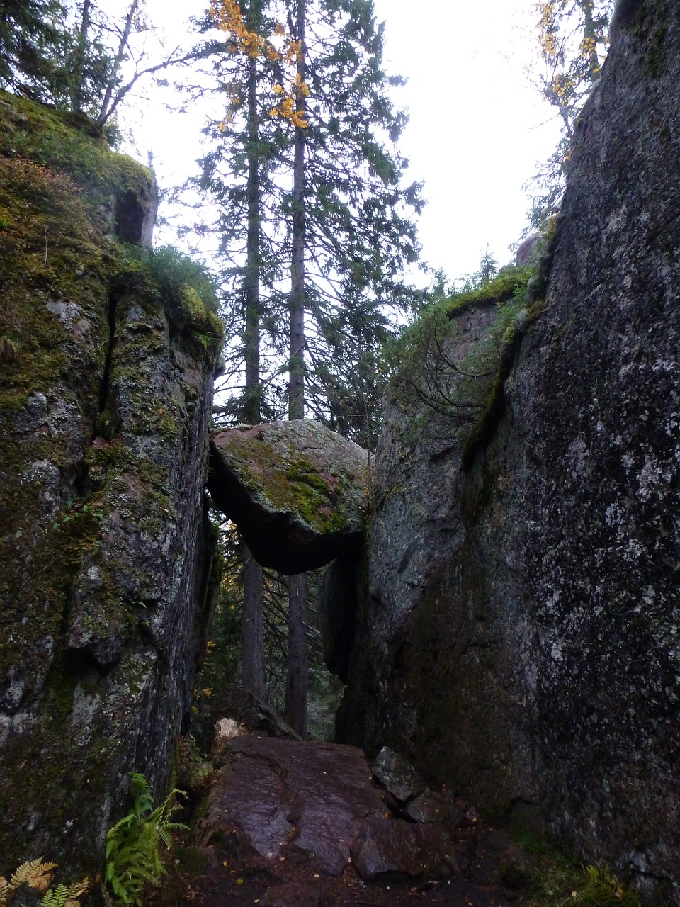 skuleskogen national park sweden hike free photo