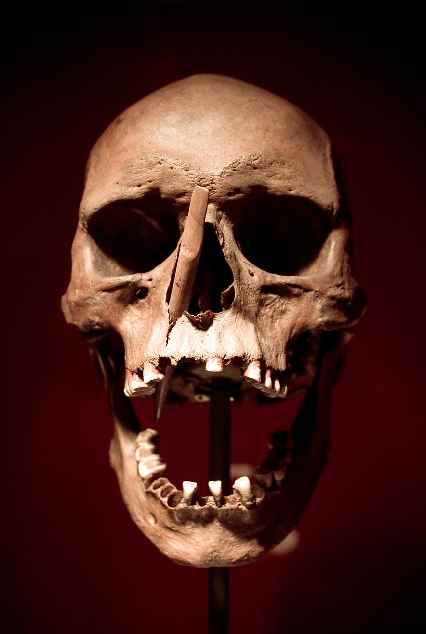 skull skull and crossbones death free photo