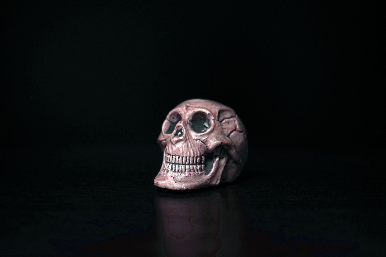 skull paperweight memento free photo