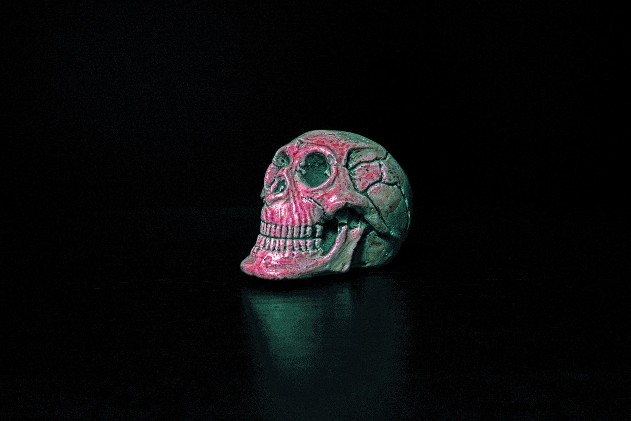 death skull paperweight free photo