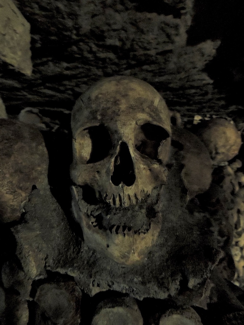 skull catacombs paris free photo
