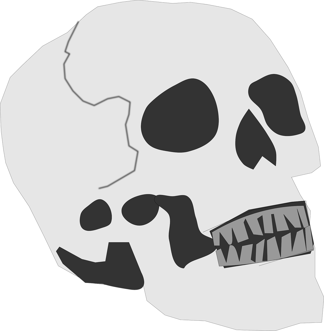 skull bones death free photo