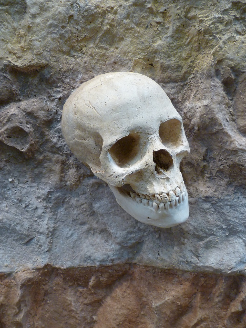skull death buried free photo