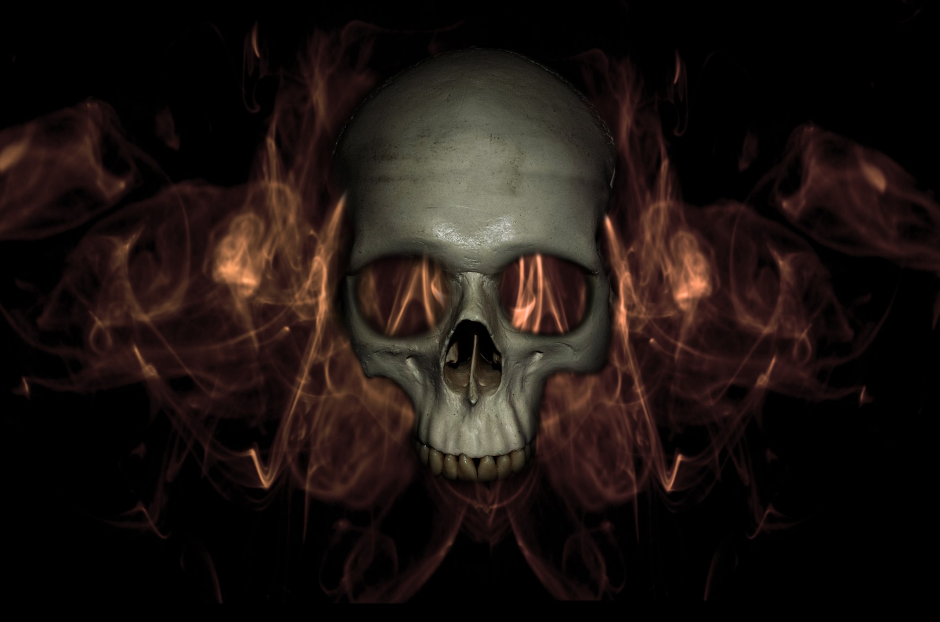 halloween skull ghost free photo