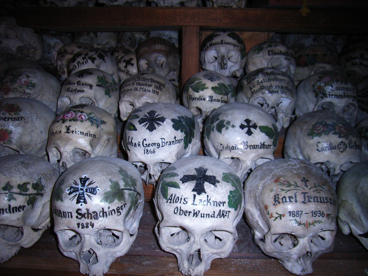 skull skull and crossbones weird free photo