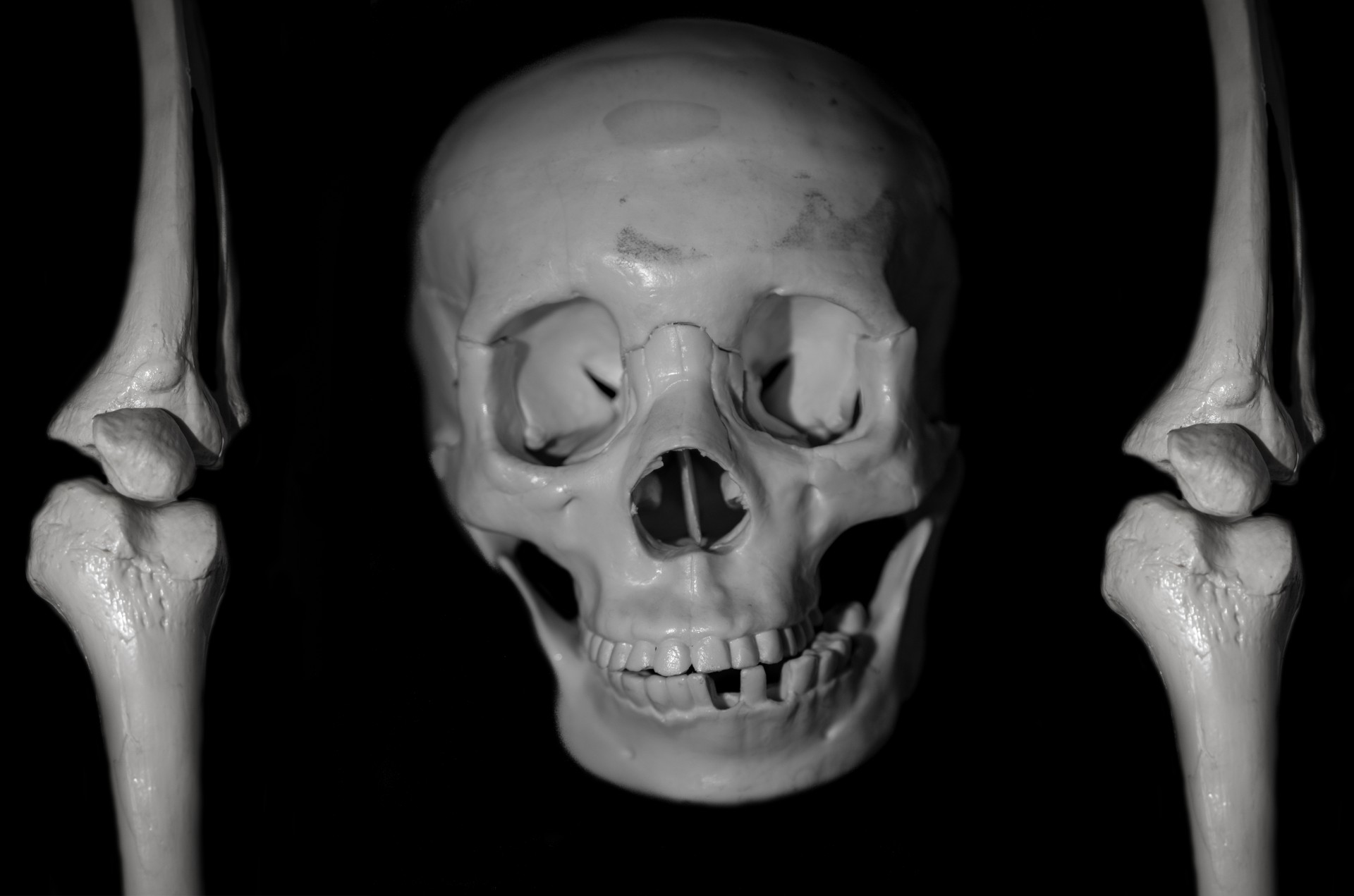 skull human face free photo