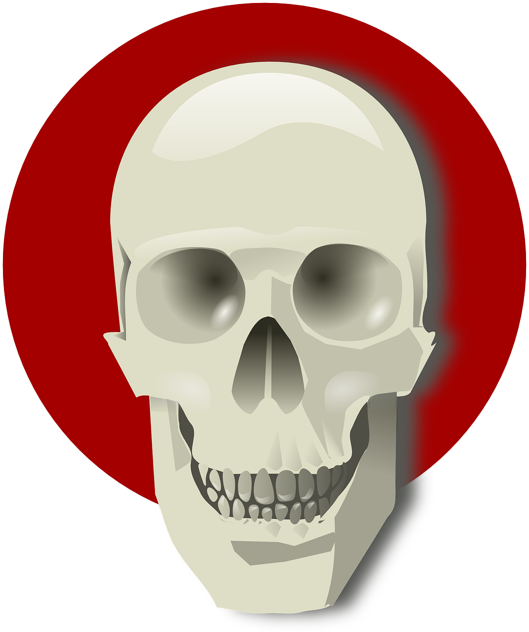 skull death bones free photo