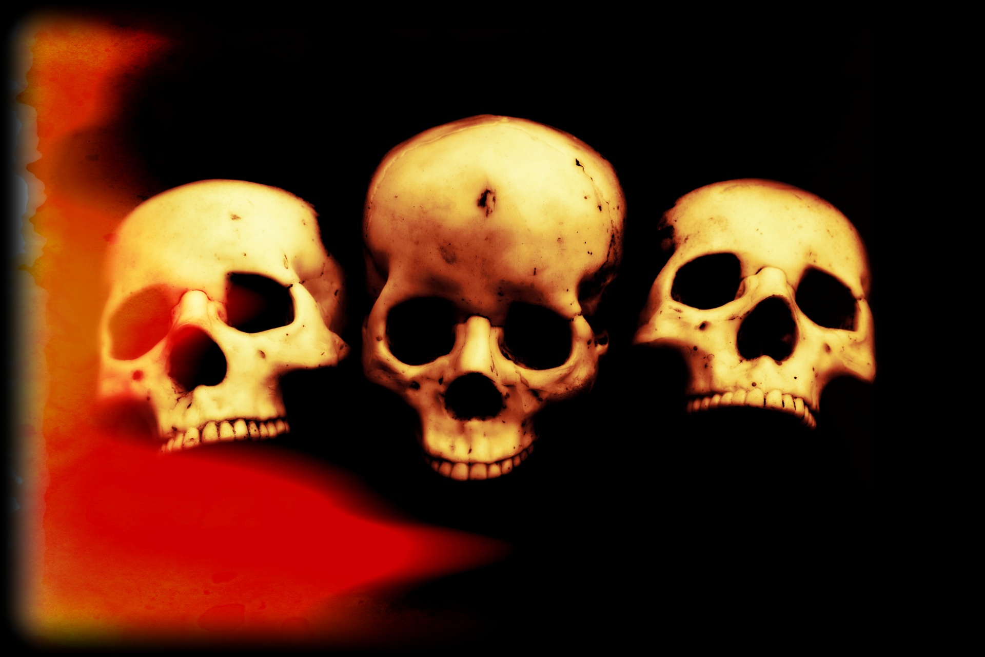skull halloween people free photo
