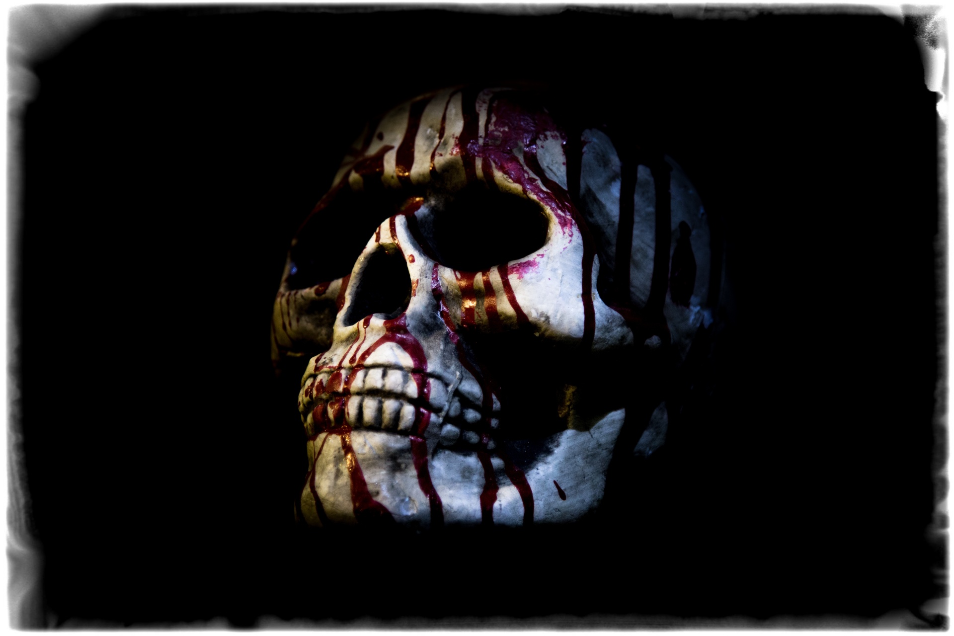 skull halloween people free photo