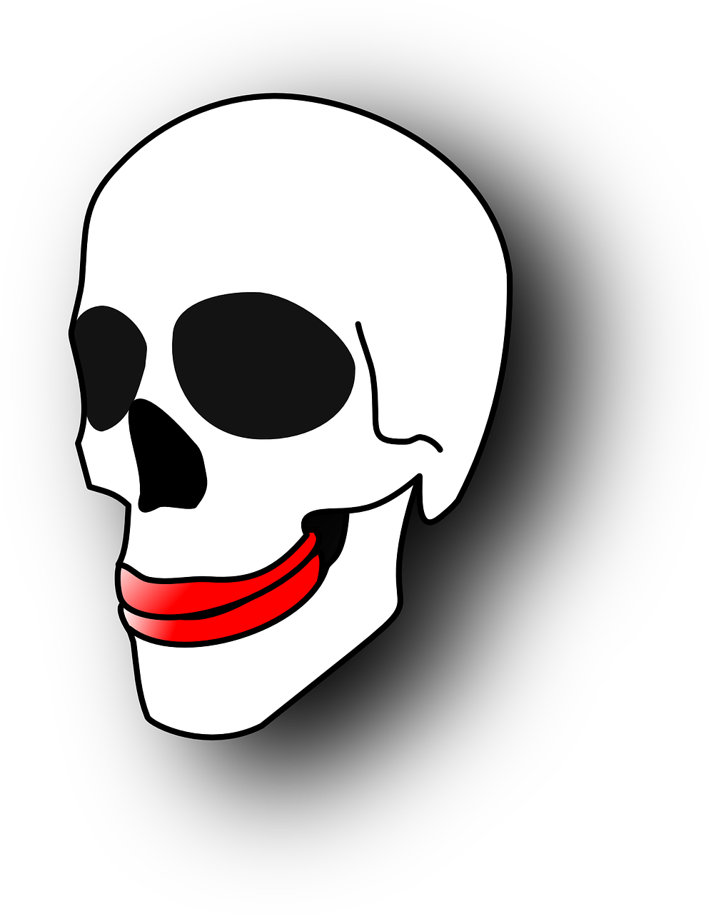 skull gums skeleton free photo