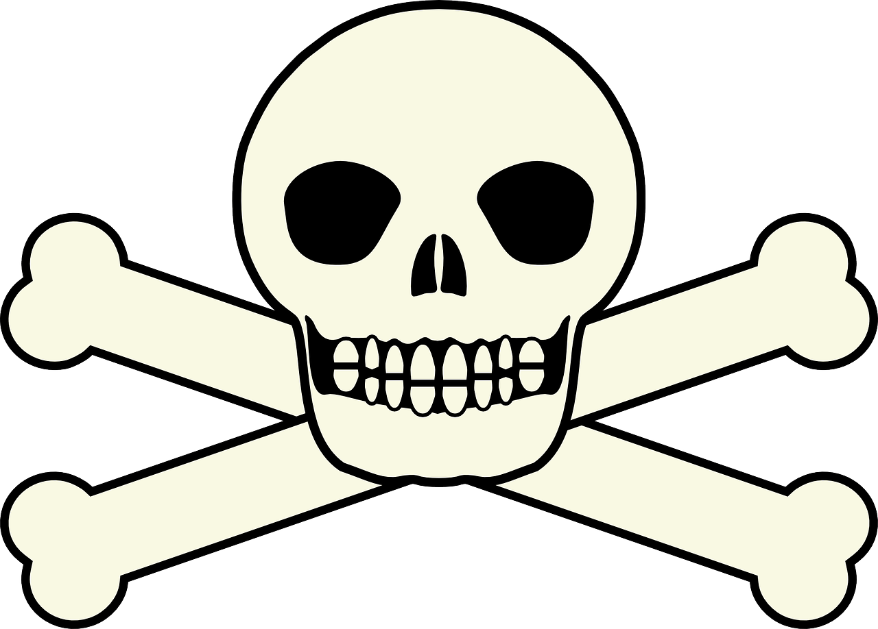 skull pirate skeleton free photo