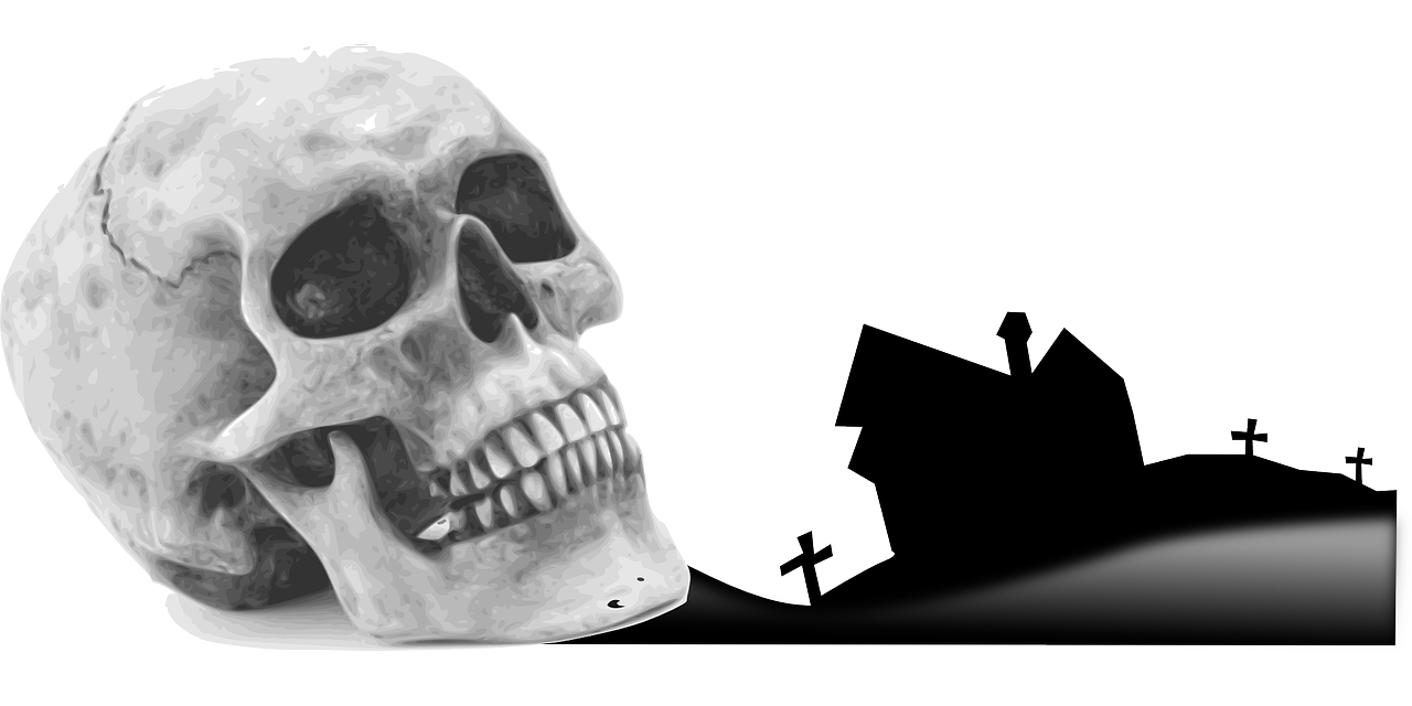 skull skeleton crime free photo