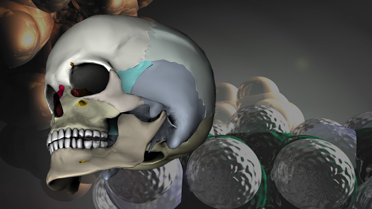 skull head 3d model free photo