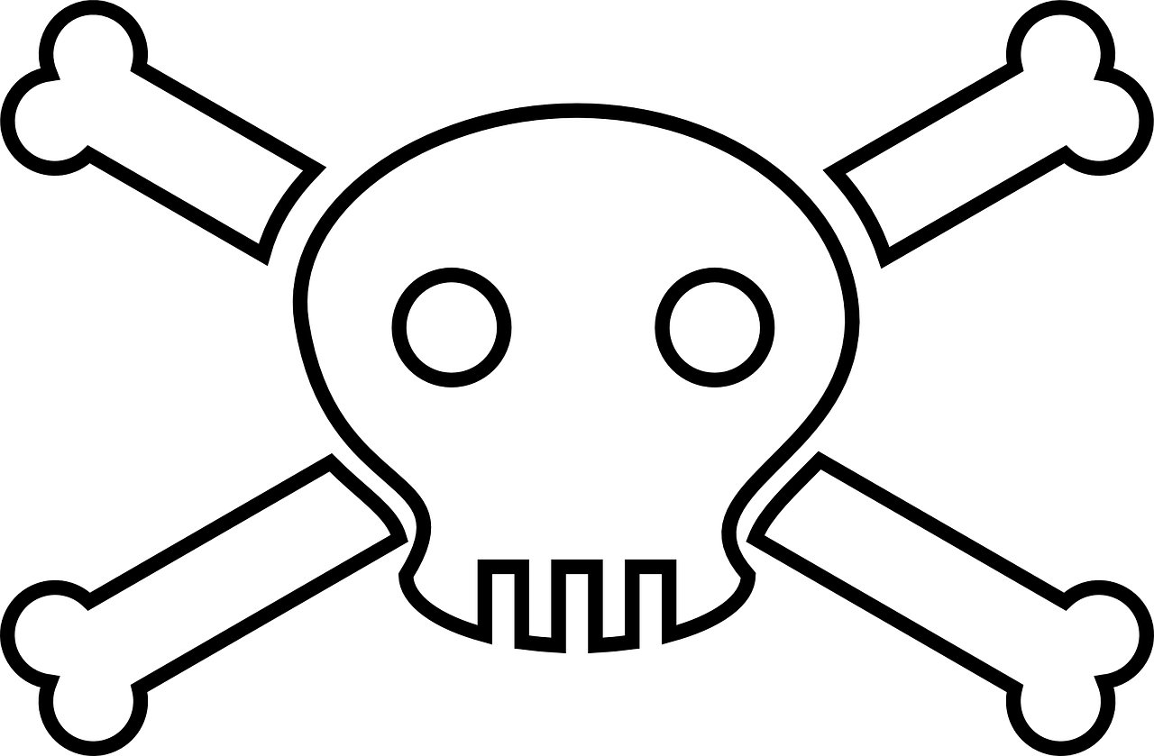 skull bones pirate free photo