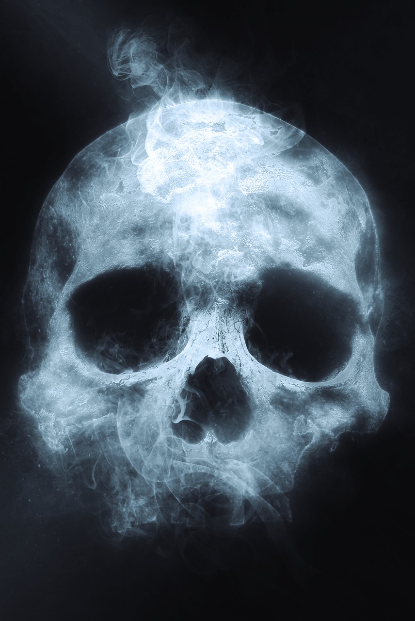 skull death halloween free photo
