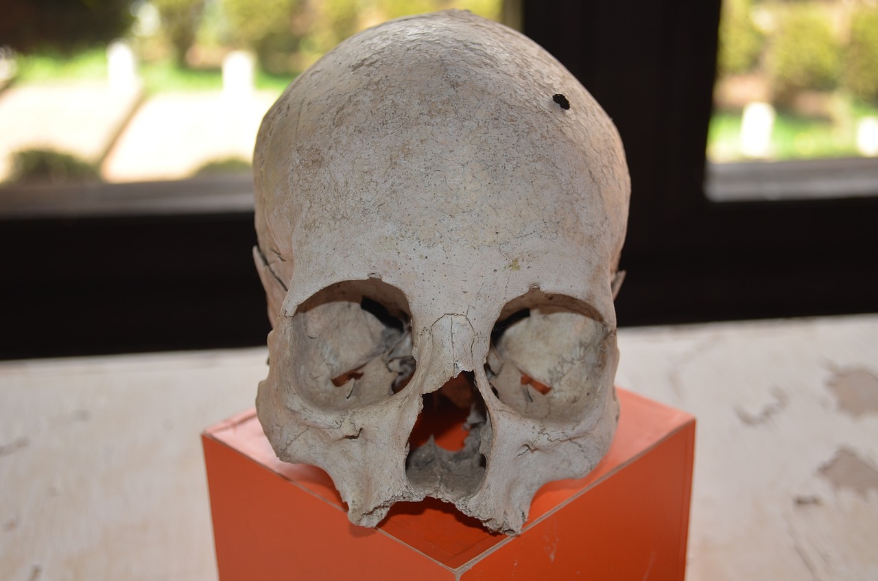 skull human remains death free photo