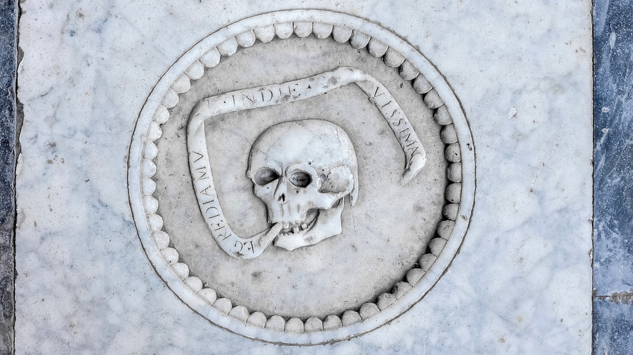 skull engraved marble free photo