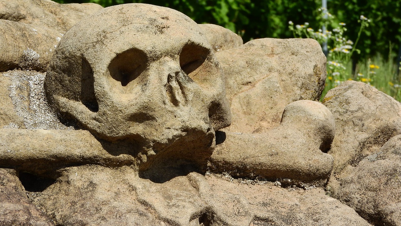 skull stone statue free photo
