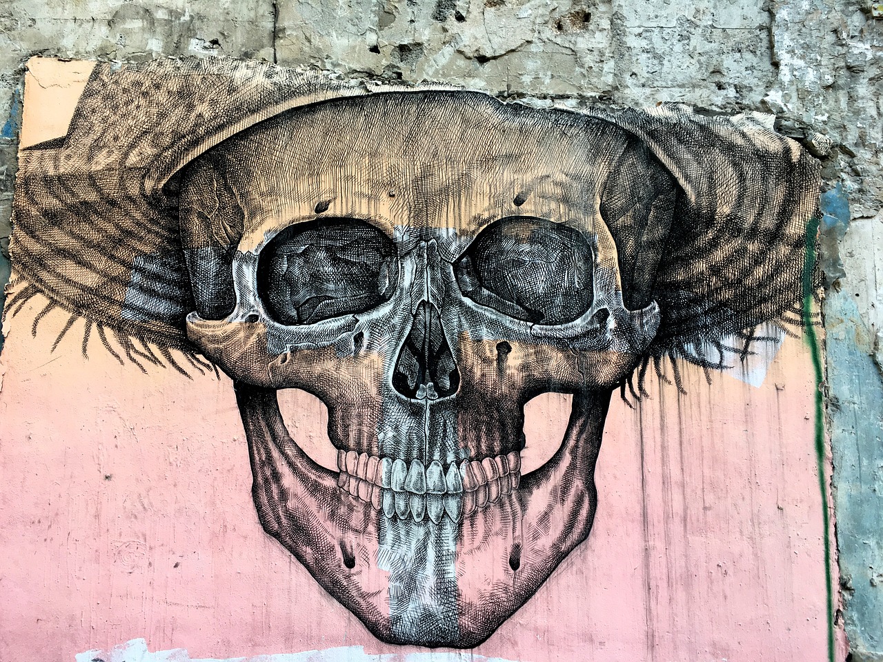 skull mural street art free photo