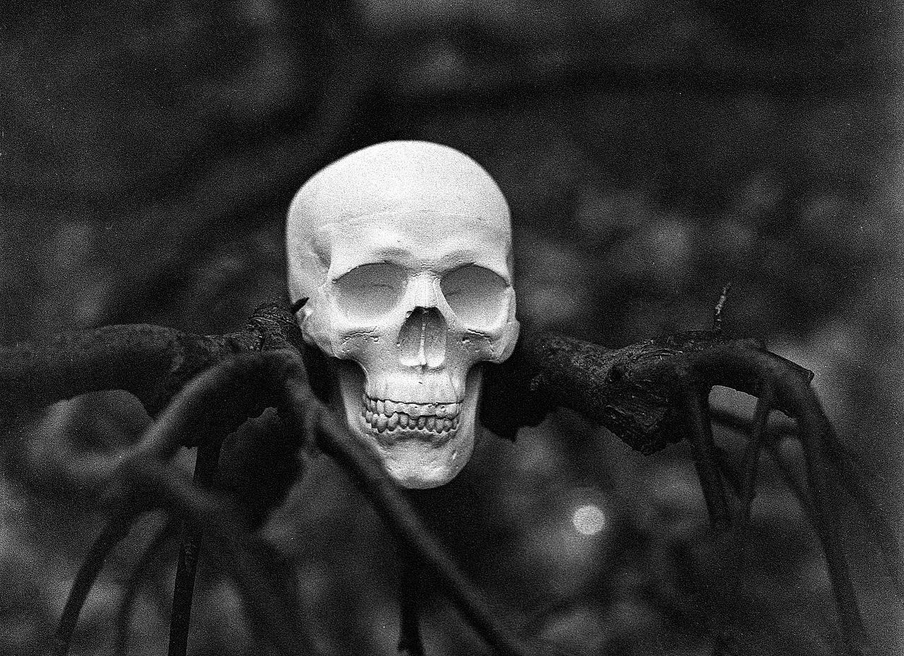 skull tree halloween free photo