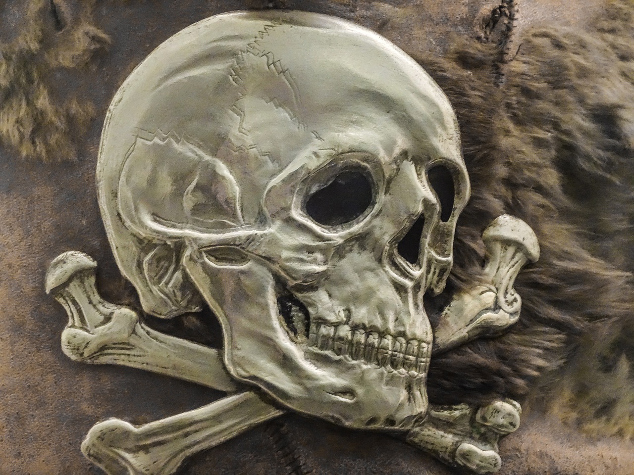 skull logo pirate free photo