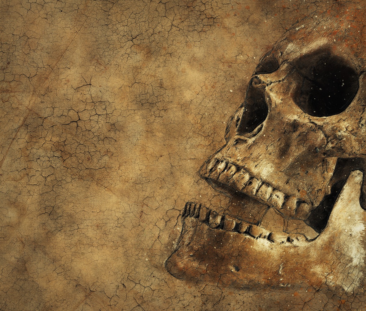 skull background texture free photo