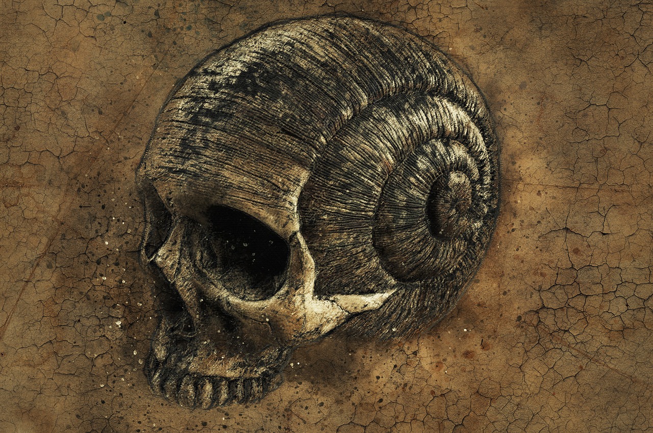 skull background texture free photo