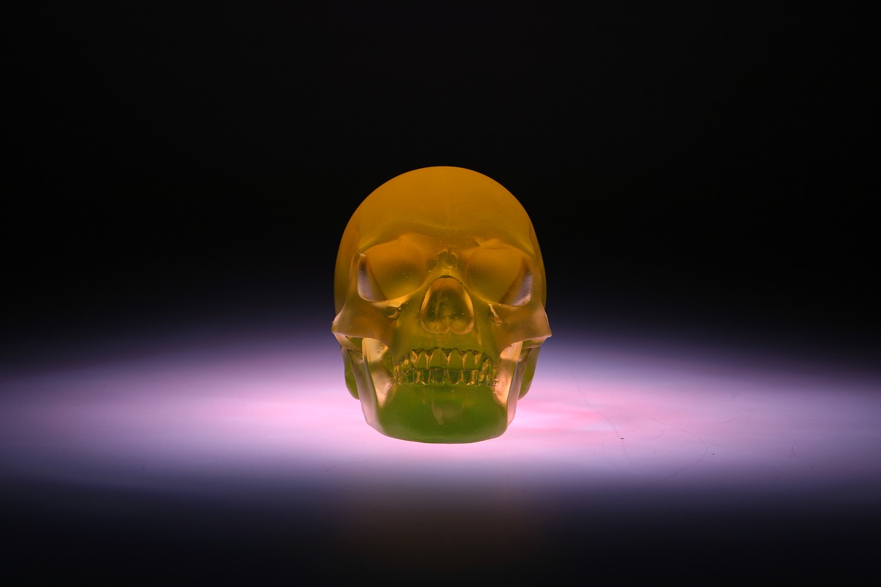 skull glass sculpture free photo