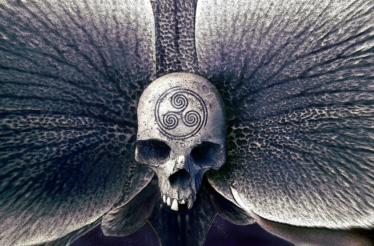 skull orchid symbol free photo