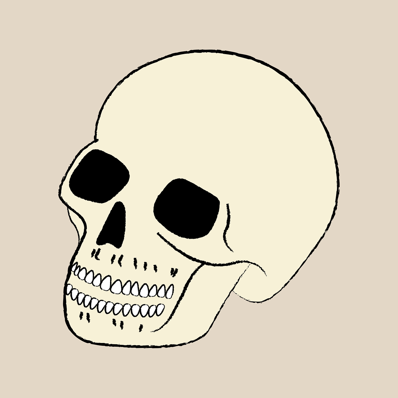 skull bone skeleton free photo