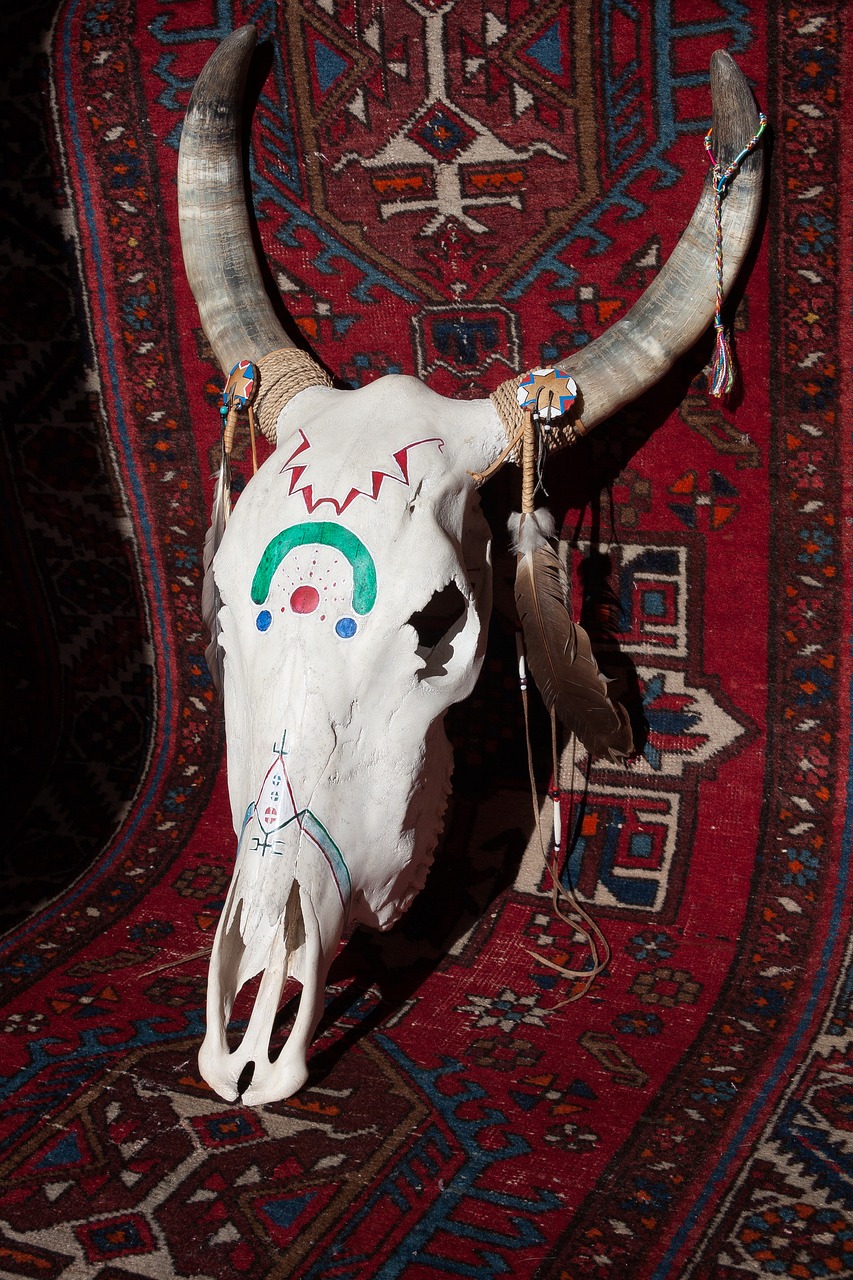 skull beef painted free photo