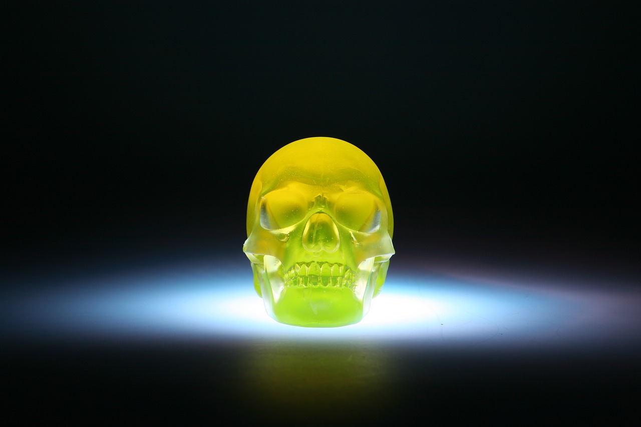 skull sculpture glass free photo