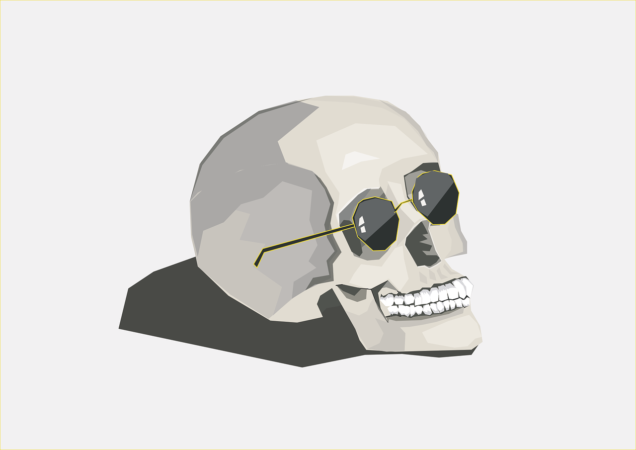 skull fun retro free photo