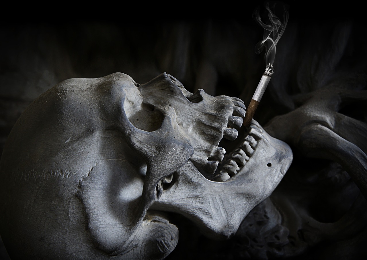 skull cigarette death free photo