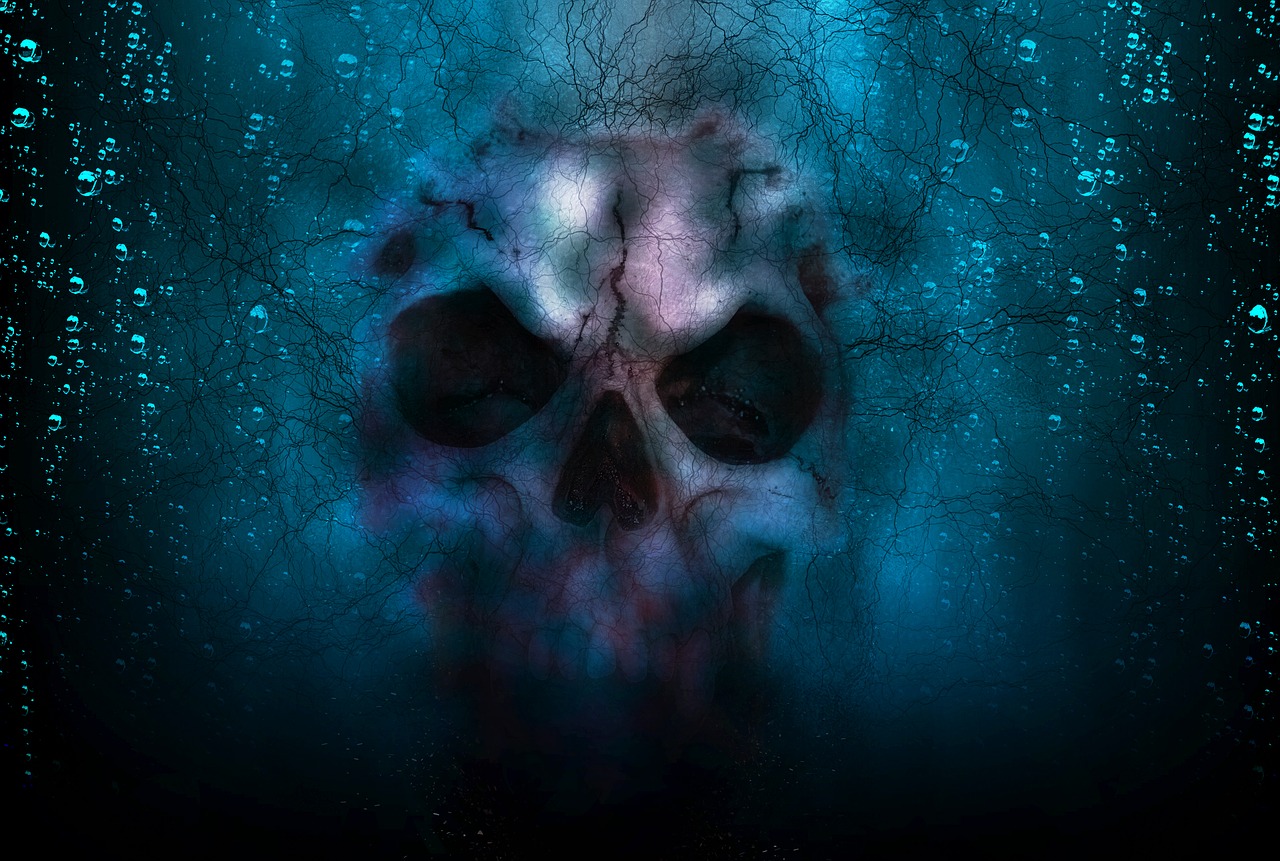 skull horror halloween free photo