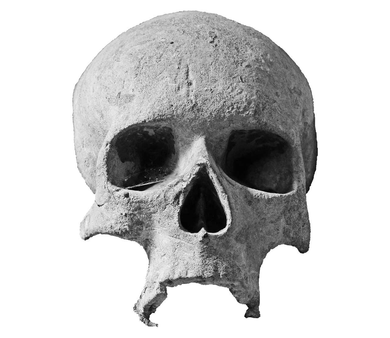 skull stone skull head free photo