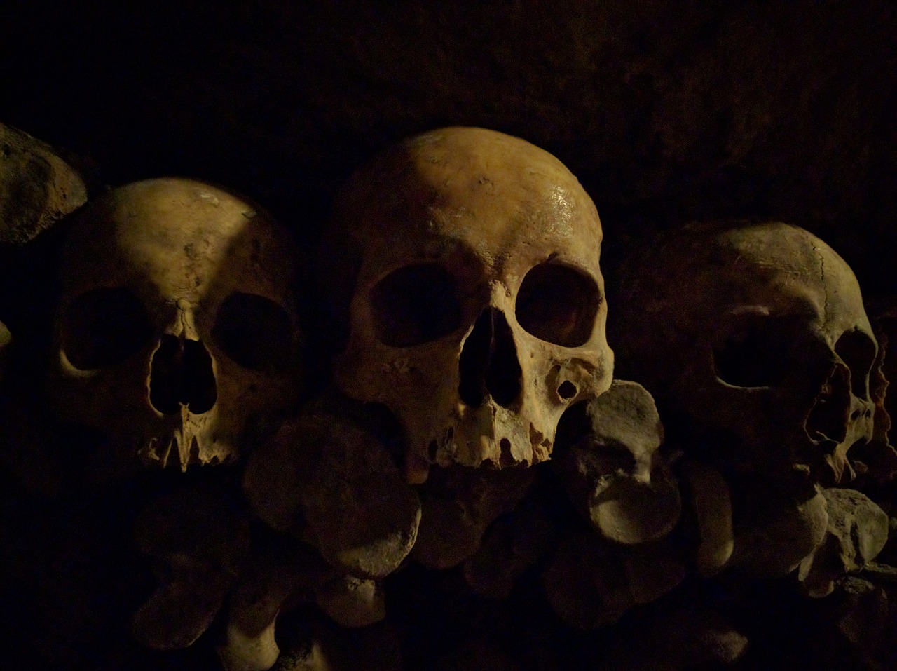 skull the catacombs bone free photo