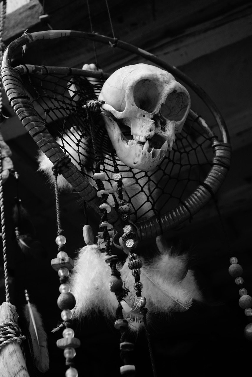skull halloween horror free photo