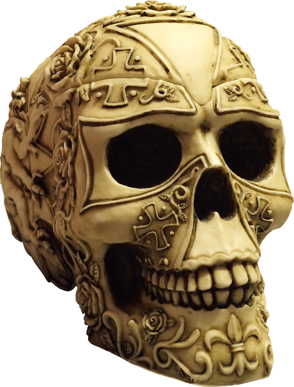 skull isolated skull and crossbones free photo
