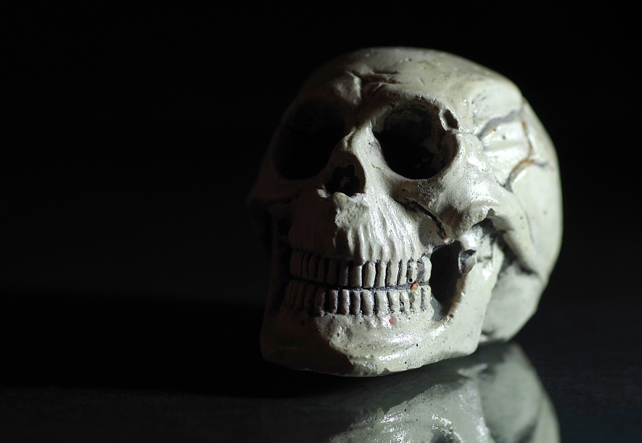 skull death horror movie free photo