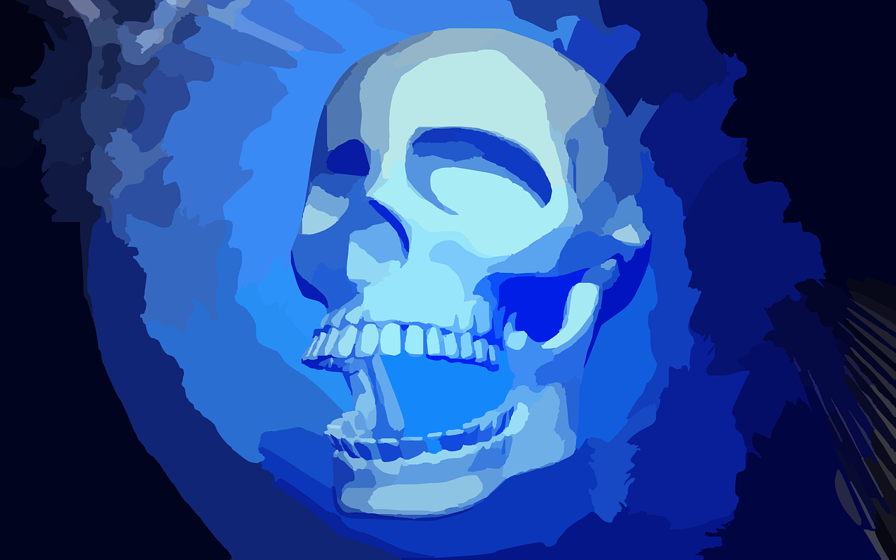 skull human blue free photo