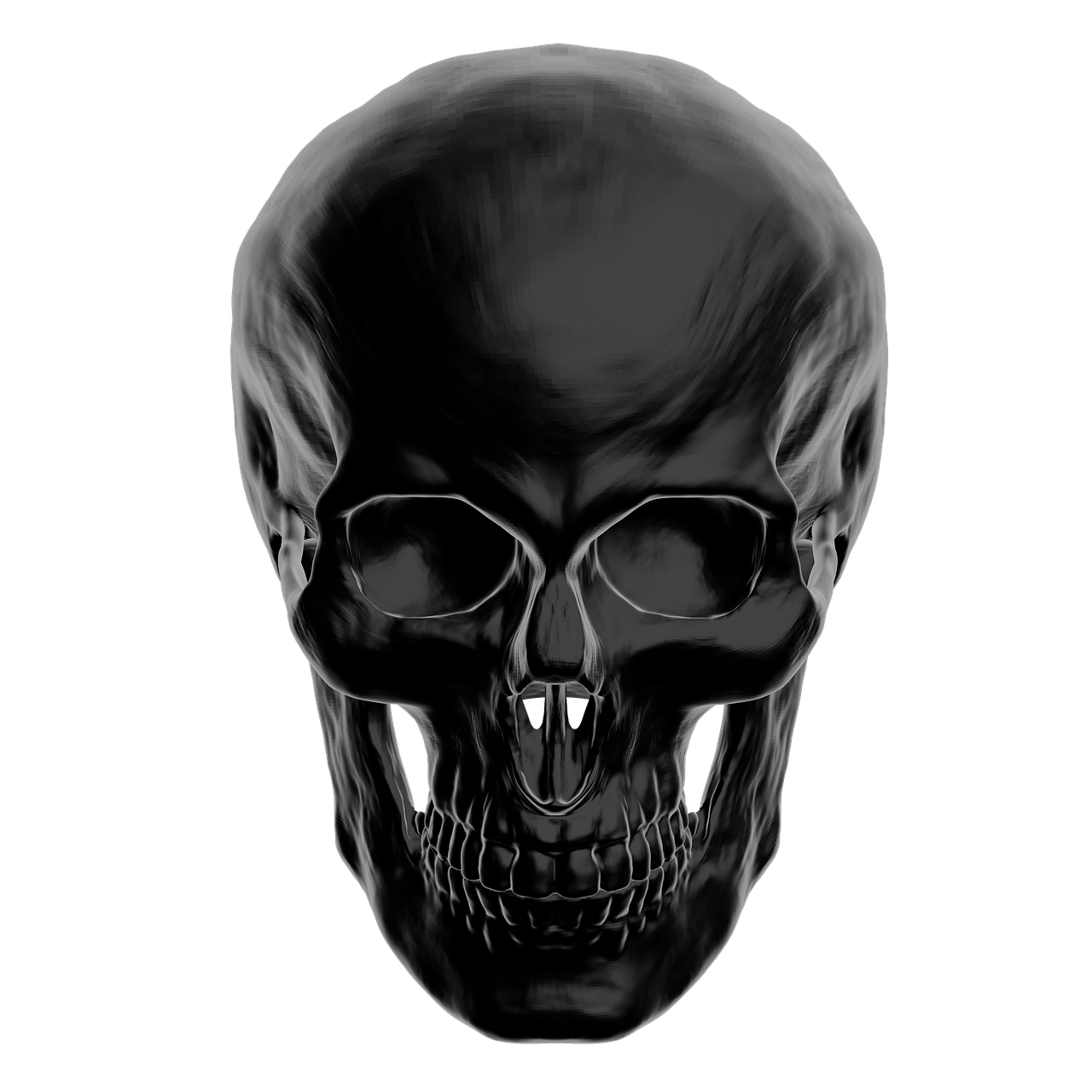 skull anatomy skull and crossbones free photo
