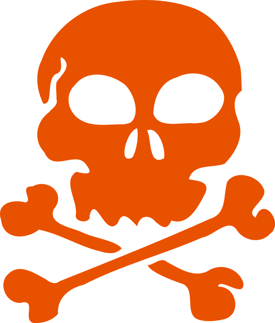 skull bones pirate free photo