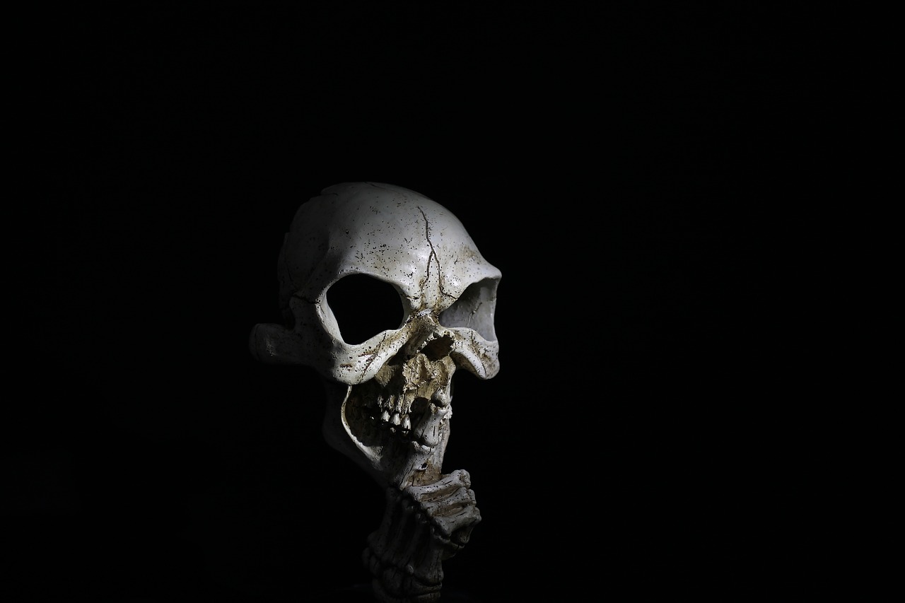 skull horror skeleton free photo