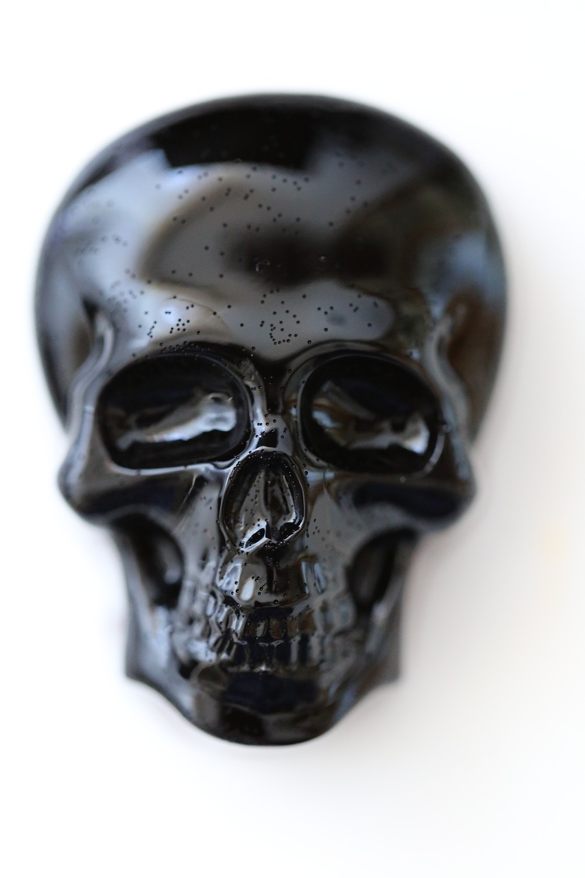skull black skeleton free photo